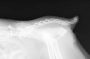 12_23_20151201113655.0 (1)