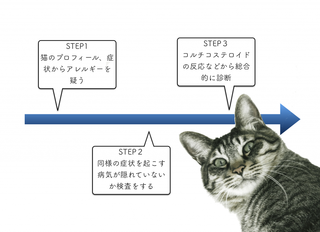 猫の食物アレルギーのアウトライン 猫専門病院の猫ブログ Nekopedia ネコペディア