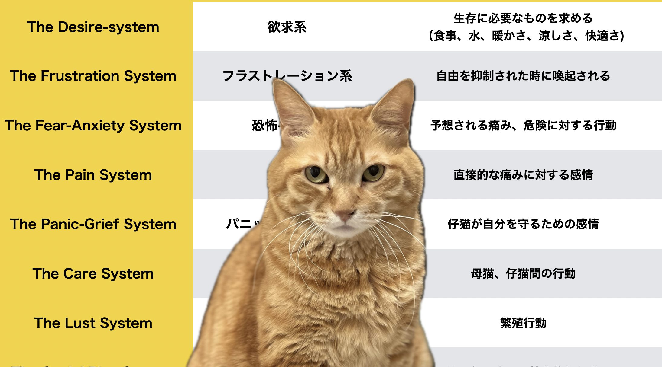 猫の診療指針 (Part 1)（猫の診療指針(Part1) 中古本・書籍